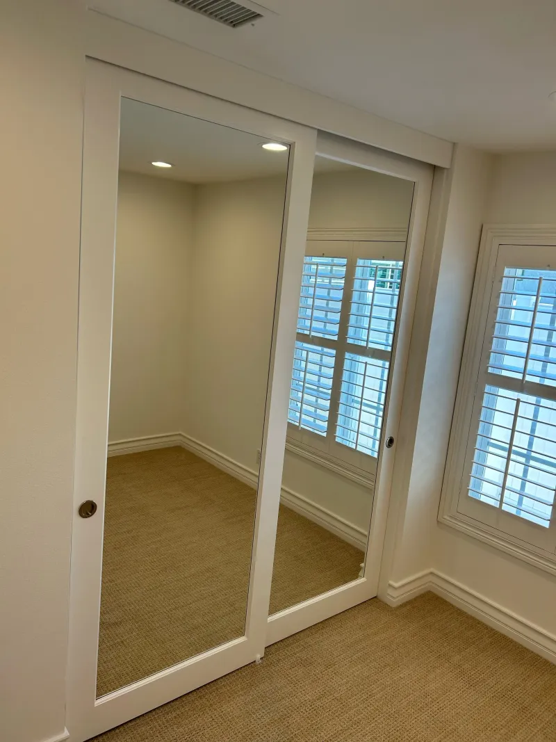 Elegant reflections mirrored closet door