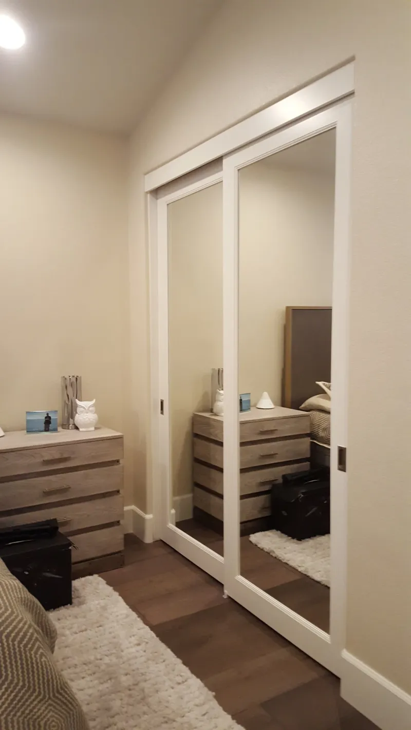 Elegant reflections mirrored closet door