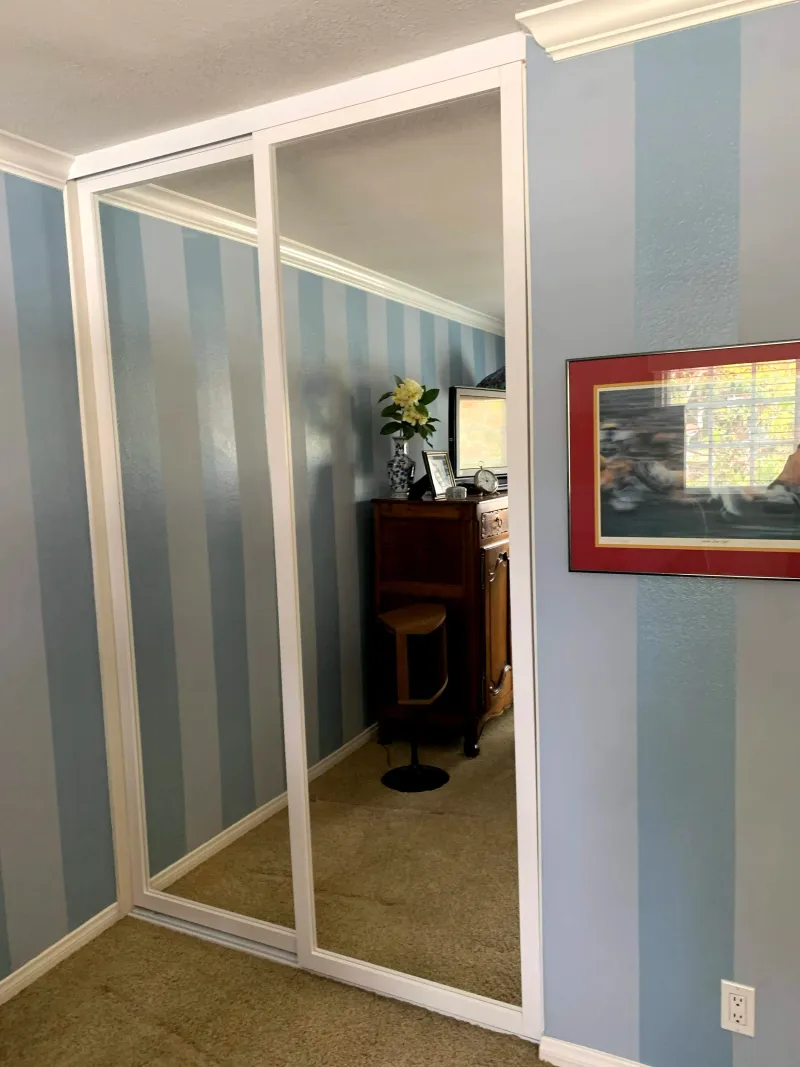 ER II mirrored closet door