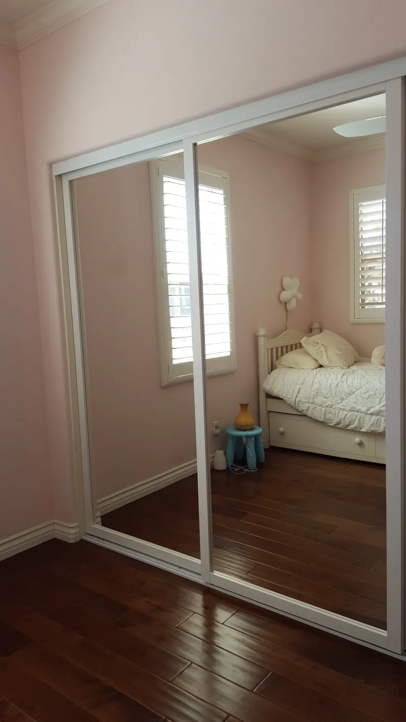 ER II mirrored closet door