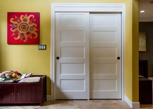 Panel and louver doors mirrored closet door